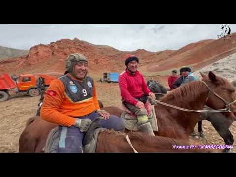 Видео: Ноокат коомунун аламан улагы🔥🇰🇬