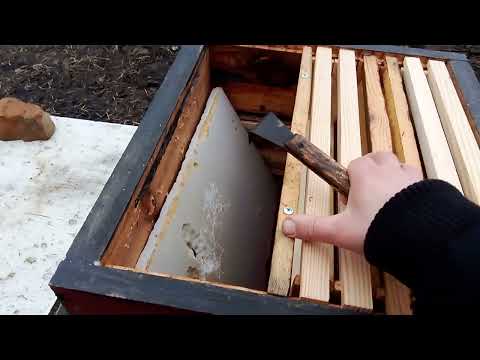 Видео: Двокорпусний вулик. Річний цикл догляду за бджолами.