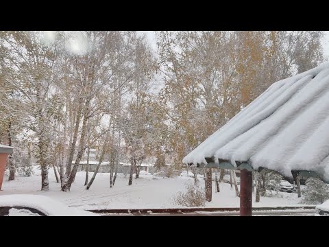 Видео: Вот и снег идёт! 