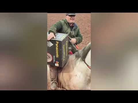 Видео: Бузкаши дар нохияи Точикобод.