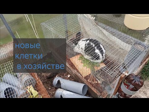 Видео: Клетки для кроликов из сетки