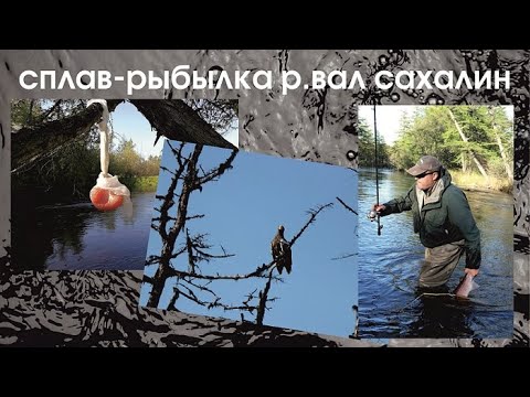 Видео: Сплав река Вал