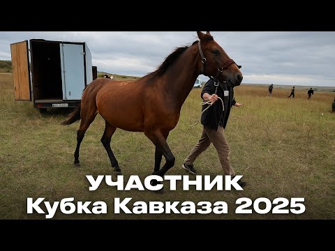 Видео: Финишировали 5-ми на 5 км скачках в Куркуржне — три круга шли 2-ми, но заминка на финише 