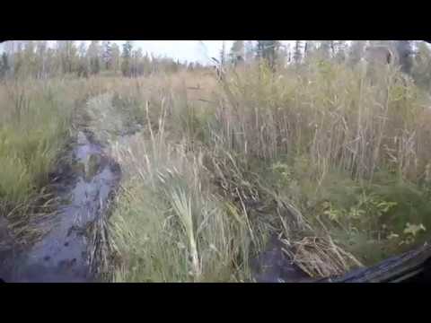 Видео: Небольшая прогулка на Шерпе и Севере  из Пихтовки до великой реки Икса.