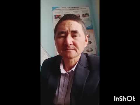 Видео: 3 ноября 2025 г.