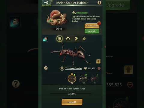 Видео: Неделя Ace Ant — тренировка с низким уровнем мозговой активности!