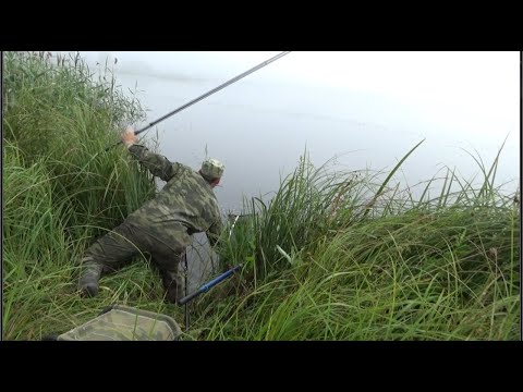 Видео: Огромный линь на поплавок! Новая снасть   в действии