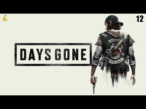 Видео: Мир после апокалипсиса: Стрим по Days Gone #12