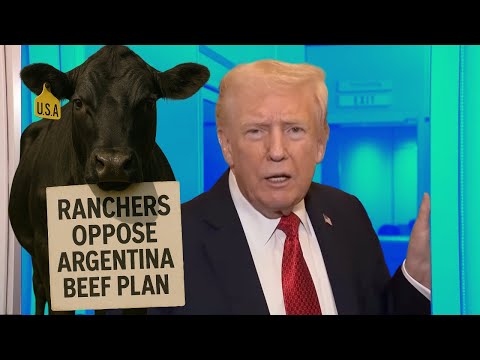 Видео: План Трампа по разведению говядины в Аргентине вызвал негативную реакцию фермеров
