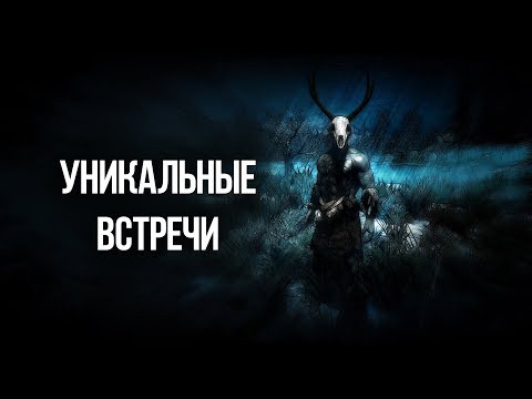 Видео: Skyrim РЕДКИЕ И УНИКАЛЬНЫЕ ВСТРЕЧИ