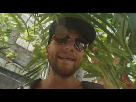 Видео: Эндорфины в голове и жир на боках