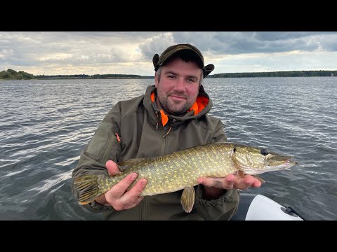 Видео: Ловля щуки на водосховищі . Щуку шукали добу! Хрінники 2022