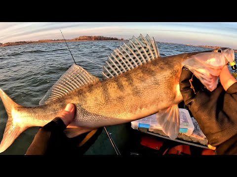 Видео: ЛОВЛЯ СУДАКА НА ДЖИГ. СМЕНИЛ ПРИМАНКУ И  тут же ПОЛУЧИЛ РЕЗУЛЬТАТ!!! ОСЕННИЙ СУДАК НА ВОДОХРАНИЛИЩЕ.
