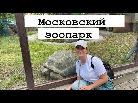 Видео: Московский зоопарк рано утром