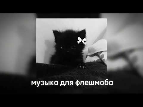 Видео: Музыка для флешмоба 🖤 ||песни из тик тока 2024||