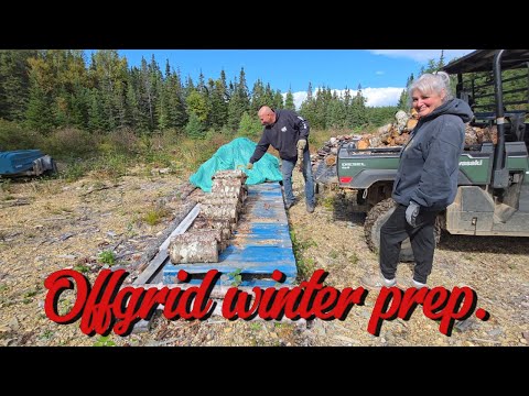 Видео: Заготовка дров на зиму и строительство овощного погреба #ньюфаундлендлабрадор #образжизнивнесетев...