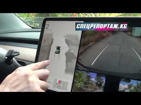 Видео: Что видит Тесла на южном кладбище Бишкека!