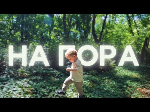 Видео: Някои ходят в гората за тишина… ние отидохме с две деца. Vlog 1