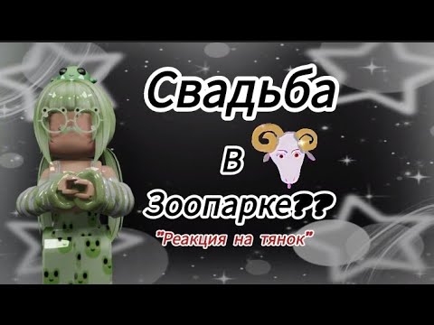 Видео: РЕАКЦИЯ НА ТЯНОК СВАДЬБА В ЗООПАРКЕ???