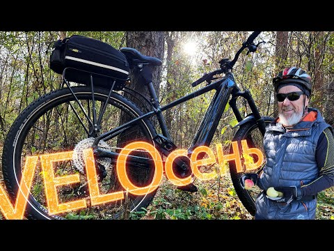 Видео: VELOсень 2025