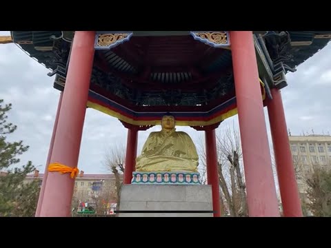 Видео: Говорит и поздравляет верблюжий остров🐫🐫🐫Прямой эфир каждый день💪