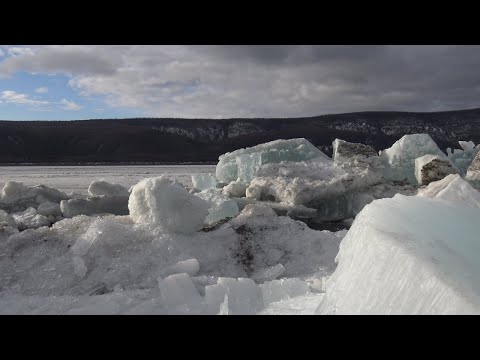 Видео: Ледоход  Мощь и красота реки Лена  Якутия 2024 год