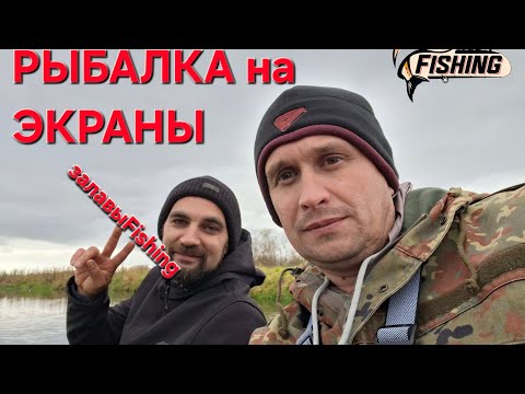 Видео: РЫБАЛКА НА ЭКРАНЫ. ПОПАЛИ НА ХОД КРУПНОЙ ПЛОТВЫ.