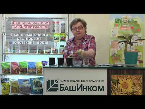 Видео: "Олимпийский Фитоспорин-К" и "Олимпийский Гуми-К" - применение