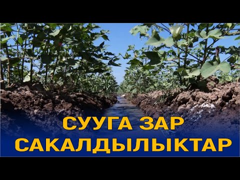 Видео: СУУГА ЗАР САКАЛДЫЛЫКТАР// ЭЛЕТ БАЯНЫ