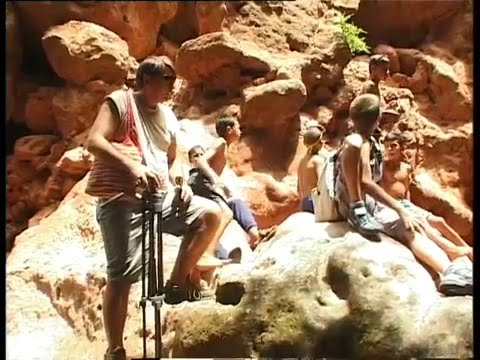 Видео: Большая прогулка. Телепередача. Выпуск 17