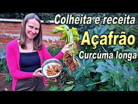 Видео: Это растение имеет много преимуществ для здоровья 🌱💚