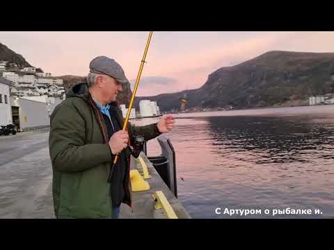 Видео: Закурил от такой рыбалки. Как возьму и открою.