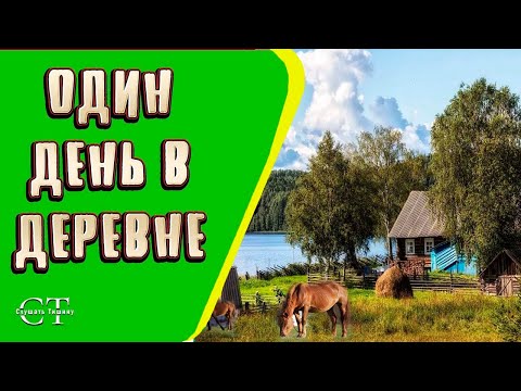 Видео: Звуки деревни. Атмосфера сельской местности. Звуки природы.