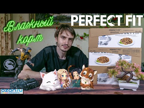 Видео: Консервированный корм для кошек от Perfect Fit 🐈