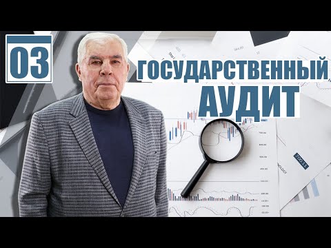 Видео: Текущая структура гос.фин. контроля и его проблемы (#03)