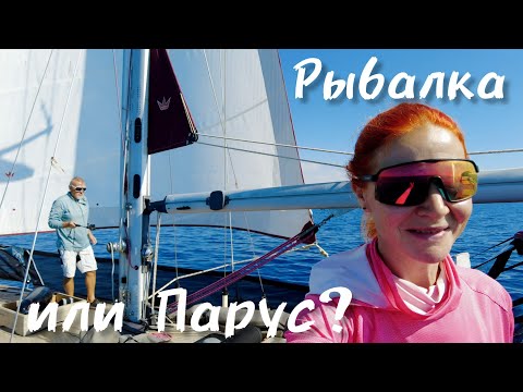 Видео: Парус + Рыбалка = Идеальный день