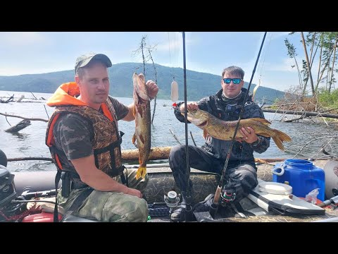 Видео: ШОК рыбалка 2024 / ЭТУ Борьбу с ЩУКОЙ НАДО Видеть #РЫБАЛКА