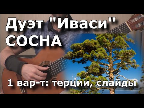 Видео: ИВАСИ - Сосна (1вар: терции, слайды) - разбор и табы