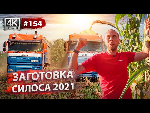 Видео: ЗАГОТОВКА СИЛОСА 2021. Уборка кукурузы, логистика и консервация. Результаты по демо-полях пшеницы.