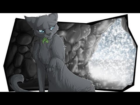 Видео: •[Коты~Воители] {Пепелица} Плакала |заказ с канала BlackCat TY|•
