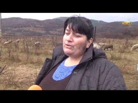 Видео: Ферма без край
