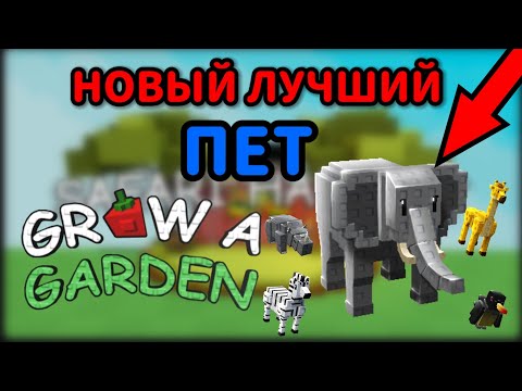 Видео: НОВЫЙ ЛУЧШИЙ ПЕТ В GROW A GARDEN | ВСЕ НОВЫЕ САФАРИ ПЕТЫ В ГРОВ Э ГАРДЕН | БЕСПЛАТНЫЙ ПЕТ |