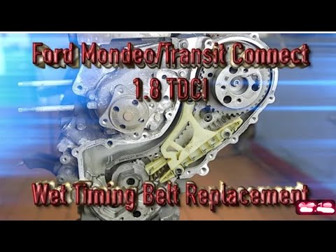 Видео: Форд 1.8 дизель Замена ремня ГРМ  Ford Mondeo/ Transit Connect 1.8TDCI