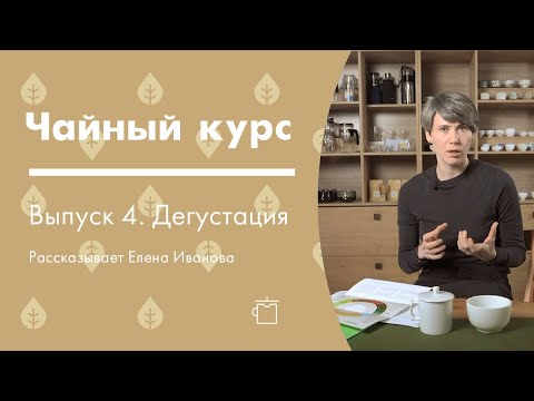 Видео: Дегустации чая. Как описать чай | Чайный курс от Art of Tea, лекция 4