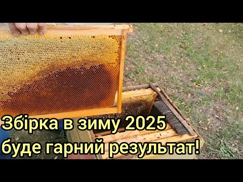Видео: Формування бджолиних сімей в зиму 2025!