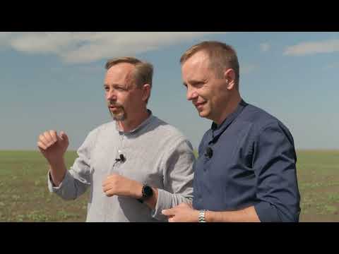 Видео: Рістрегуляція озимого ріпаку: руйнуємо міфи та попереджаємо помилки!