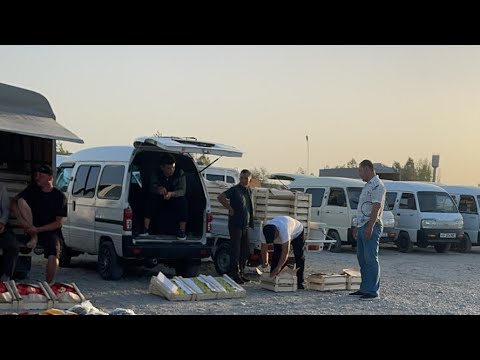Видео: Олтиариқ бозор. Анор. Бехи. Хурмо. Шафтоли нархи