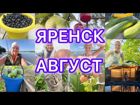 Видео: #Яренск …ВЛОГ про меня и огород…августовские дары 2025…Архангельская область