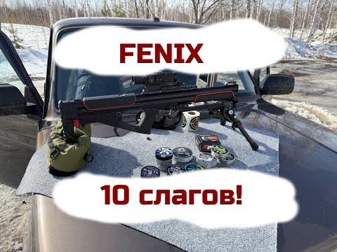 Видео: EdGun Fenix отстрел 10 видов слагов!