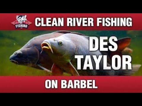 Видео: CRP120 DES TAYLOR - НА УСИЧЕ